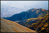 Autumn forests and dunes from above. Great Sand Dunes National Park and Preserve, Colorado, USA.