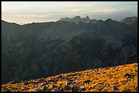 Sangre de Cristo Mountains seen from alpine summit of Mt. Herard. Great Sand Dunes National Park and Preserve, Colorado, USA.