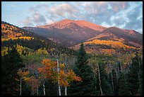 Mount Herard and autumn foliage at sunrise from Medano Pass. Great Sand Dunes National Park and Preserve, Colorado, USA.