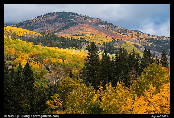 Hill blow Mt Herard covered with trees in colorful autumn foliage. Great Sand Dunes National Park and Preserve (color)