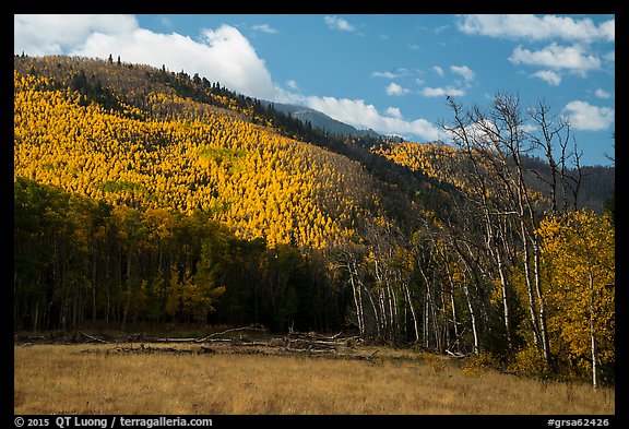 Meadow and hills in autumn foliage near Medano Pass. Great Sand Dunes National Park and Preserve, Colorado, USA.