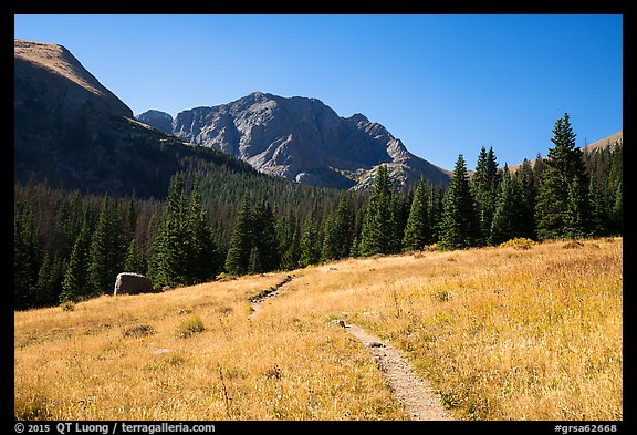 Trail, Sangre de Cristo Wilderness. Great Sand Dunes National Park and Preserve (color)