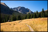 Trail, Sangre de Cristo Wilderness. Great Sand Dunes National Park and Preserve ( color)