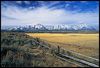 Fence and Teton range in fall. Grand Teton National Park ( color)
