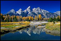 Grand Teton and fall colors reflected at Schwabacher landing. Grand Teton National Park ( color)