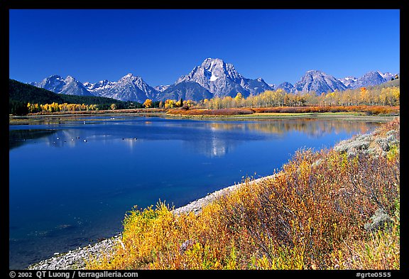 Fall colors and reflexions of Mt Moran and Teton range in Oxbow bend. Grand Tetons National Park