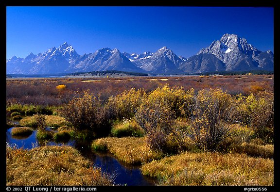 Teton range and fall colors on meadows. Grand Teton National Park (color)