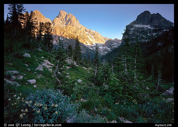 Meadow, wildflowers, and peaks at sunset. Grand Teton National Park, Wyoming, USA.