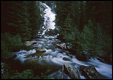 Hidden Falls, stream, and forest. Grand Teton National Park, Wyoming, USA. (color)