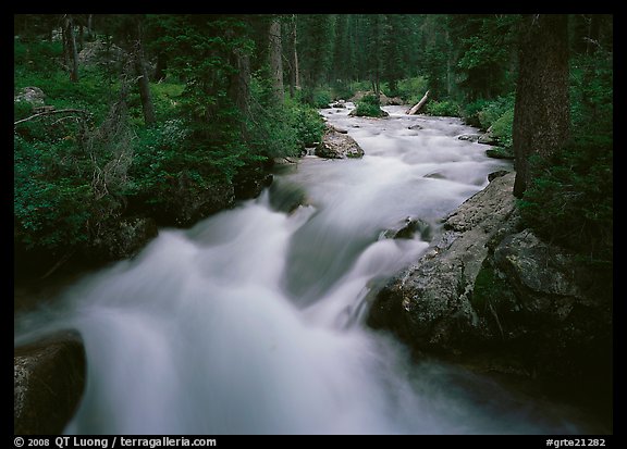 Cascade Creek and dark forest. Grand Teton National Park (color)