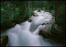 Cascade Creek and dark forest. Grand Teton National Park, Wyoming, USA.