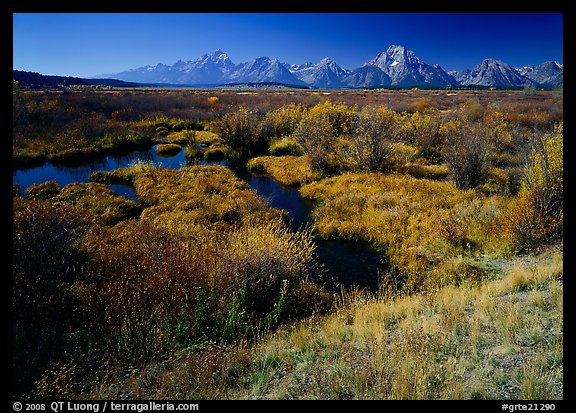 Wetlands and Teton range in autumn. Grand Teton National Park (color)