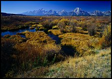 Wetlands and Teton range in autumn. Grand Teton National Park ( color)