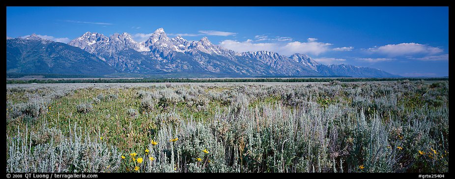 Sagebrush-covered flat and mountain range. Grand Teton National Park (color)