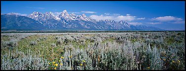 Sagebrush-covered flat and mountain range. Grand Teton National Park (Panoramic color)