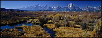 Wet meadows and mountains in the fall. Grand Teton National Park (Panoramic color)