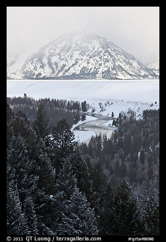 Trees with dusting of snow and Snake River. Grand Teton National Park (color)