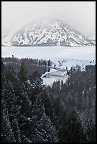 Trees with dusting of snow and Snake River. Grand Teton National Park ( color)