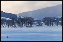 Moulton Homestead in the distance, winter. Grand Teton National Park, Wyoming, USA.