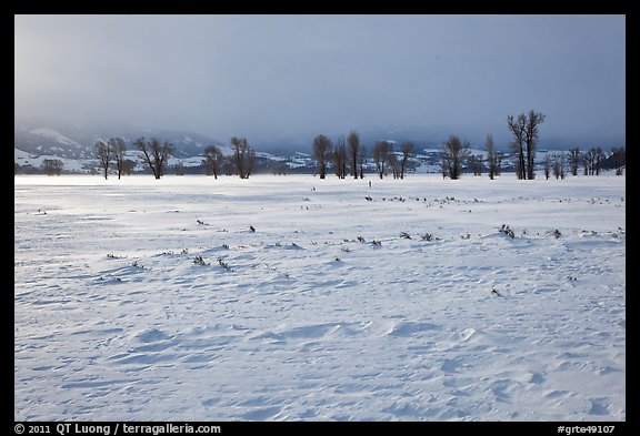 Snowy Antelope flats with snowdrift. Grand Teton National Park, Wyoming, USA.