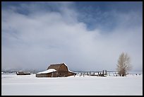 Moulton Barn in winter. Grand Teton National Park, Wyoming, USA.