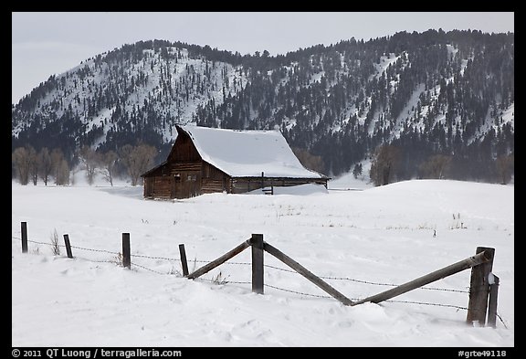 Fence and historic Moulton Barn in winter. Grand Teton National Park, Wyoming, USA.