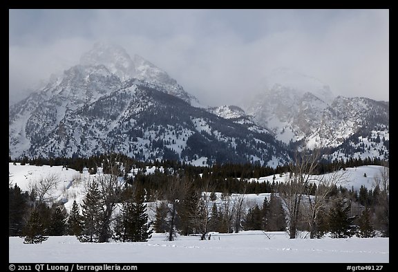 Below Teton range in winter. Grand Teton National Park (color)