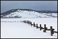 Fence, snowdrift and Ulh Hill. Grand Teton National Park ( color)