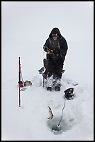 Man catching fish through hole in Jackson Lake ice. Grand Teton National Park, Wyoming, USA. (color)