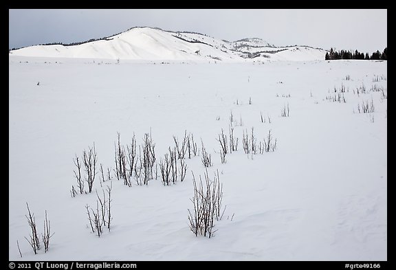 Gross Ventre valley and Blacktail Butte in winter. Grand Teton National Park, Wyoming, USA.