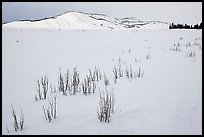 Gross Ventre valley and Blacktail Butte in winter. Grand Teton National Park ( color)