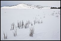 Gross Ventre valley and Blacktail Butte in winter. Grand Teton National Park, Wyoming, USA. (color)