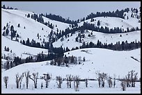 Hills and trees, Blacktail Butte in winter. Grand Teton National Park, Wyoming, USA.