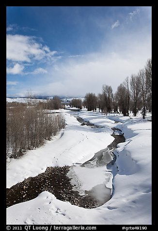 Stream and cottonwoods in winter. Grand Teton National Park, Wyoming, USA.