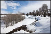 Snowscape with stream. Grand Teton National Park, Wyoming, USA.