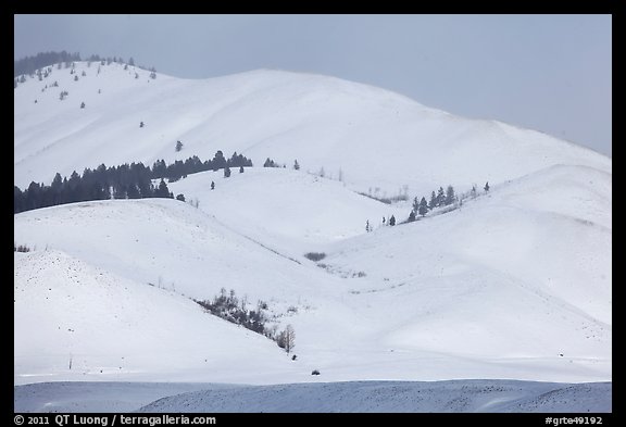 Snow-covered Blacktail Butte. Grand Teton National Park (color)