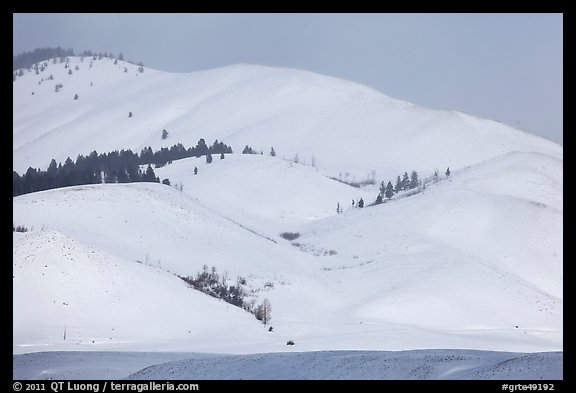 Snow-covered Blacktail Butte. Grand Teton National Park, Wyoming, USA.