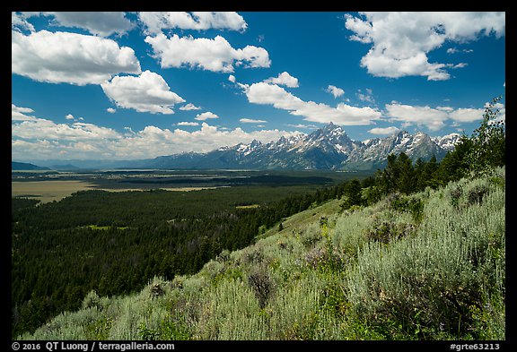 Jackson Hole plain and Tetons from Signal Mountain. Grand Teton National Park (color)