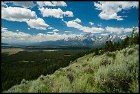 Jackson Hole plain and Tetons from Signal Mountain. Grand Teton National Park ( color)