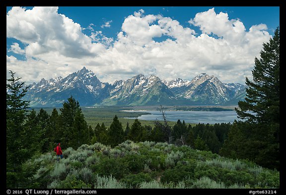 Visitor looking, Signal Mountain. Grand Teton National Park, Wyoming, USA.