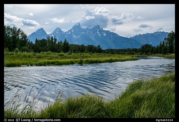 Teton Range in summer from Schwabacher Landing, afternoon. Grand Teton National Park (color)