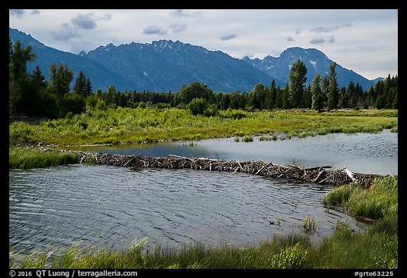 Beaver Dam and Teton Range. Grand Teton National Park (color)