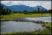 Beaver Dam and Teton Range. Grand Teton National Park ( color)