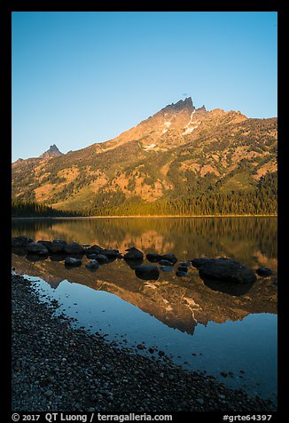 Tetons reflected in Jenny Lake, sunrise. Grand Teton National Park (color)