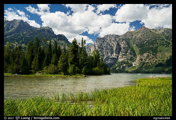 Grassy inlet, Phelps Lake. Grand Teton National Park (color)