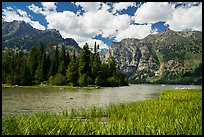 Grassy inlet, Phelps Lake. Grand Teton National Park ( color)