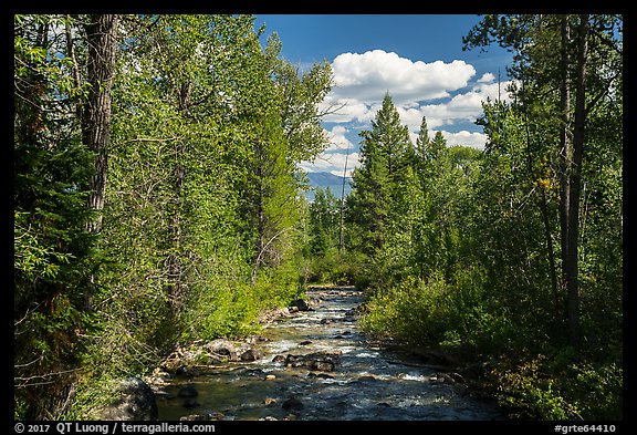 Lake Creek, Laurence S. Rockefeller Preserve. Grand Teton National Park (color)