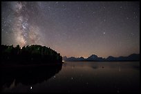 Trees, Milky Way and Teton Range above Jackson Lake. Grand Teton National Park ( color)