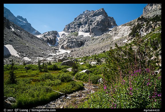 Stream, meadows, and Middle Teton. Grand Teton National Park (color)