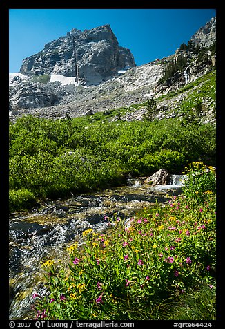 Stream and Middle Teton, Garnet Canyon. Grand Teton National Park (color)